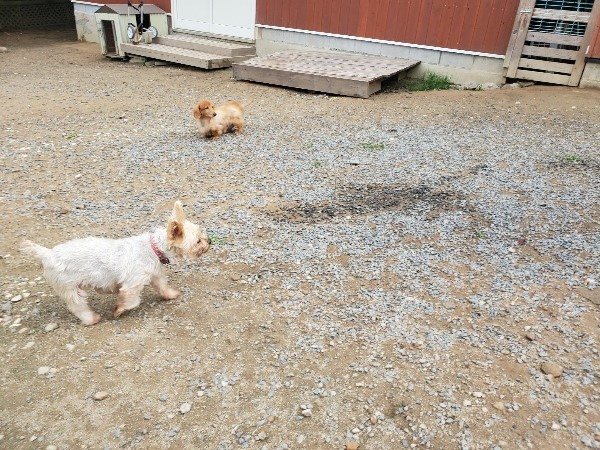 f:id:roukenhome-ann:20191011184129j:plain