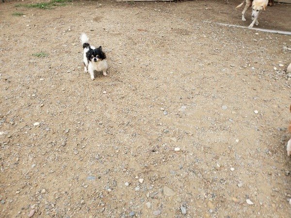f:id:roukenhome-ann:20191011184343j:plain