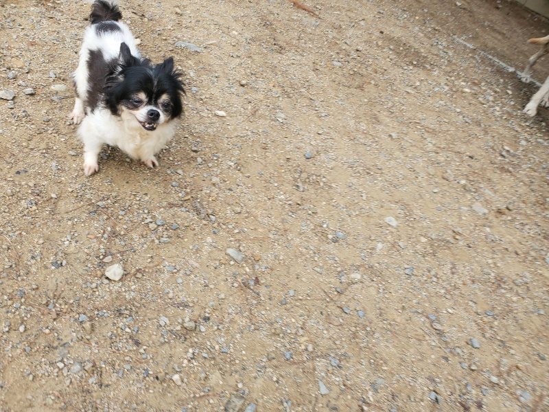 f:id:roukenhome-ann:20191011184352j:plain