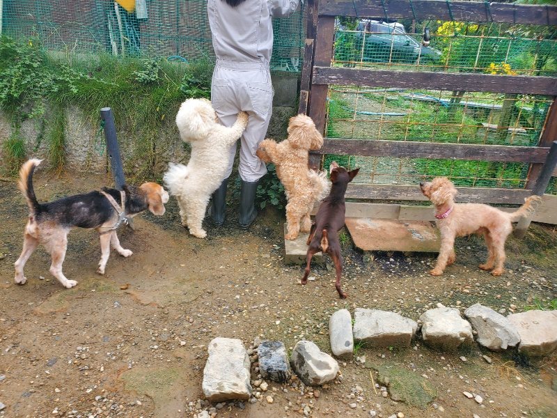 f:id:roukenhome-ann:20191011184438j:plain
