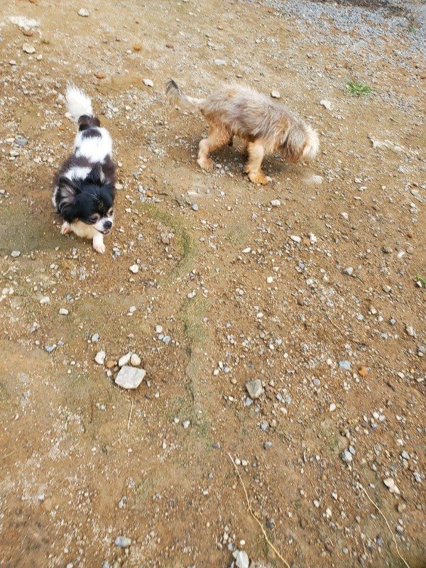 f:id:roukenhome-ann:20191011184522j:plain