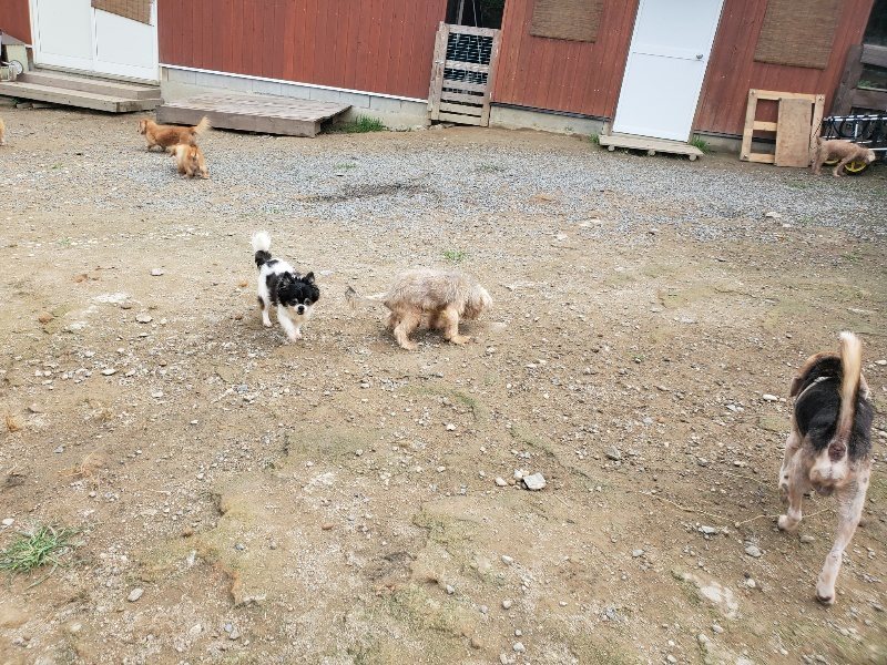 f:id:roukenhome-ann:20191011184544j:plain