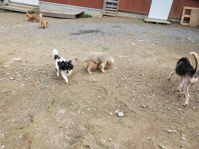 f:id:roukenhome-ann:20191011184551j:plain
