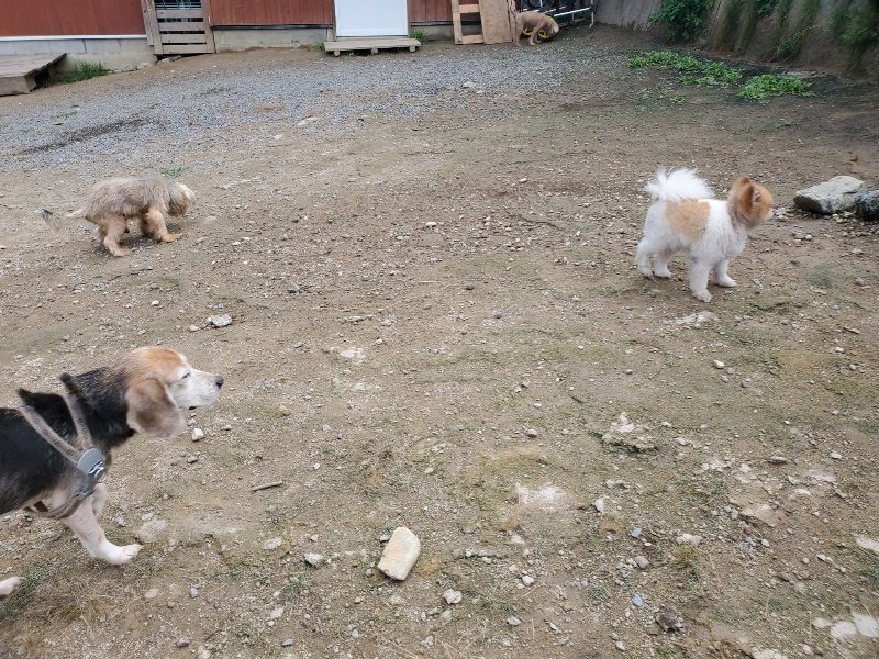 f:id:roukenhome-ann:20191011184559j:plain