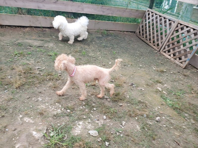 f:id:roukenhome-ann:20191011184609j:plain