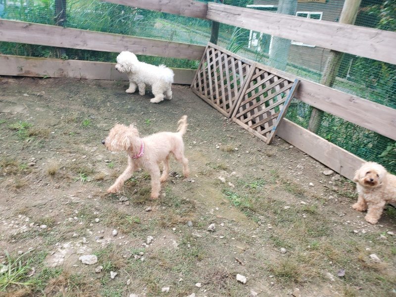 f:id:roukenhome-ann:20191011184624j:plain