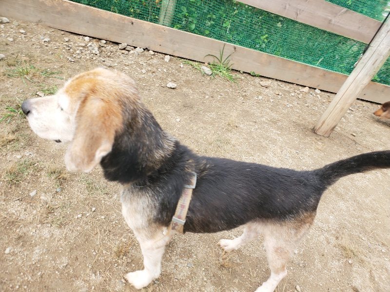 f:id:roukenhome-ann:20191011184642j:plain