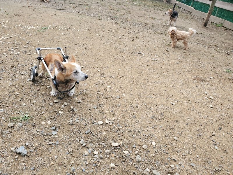 f:id:roukenhome-ann:20191011184841j:plain