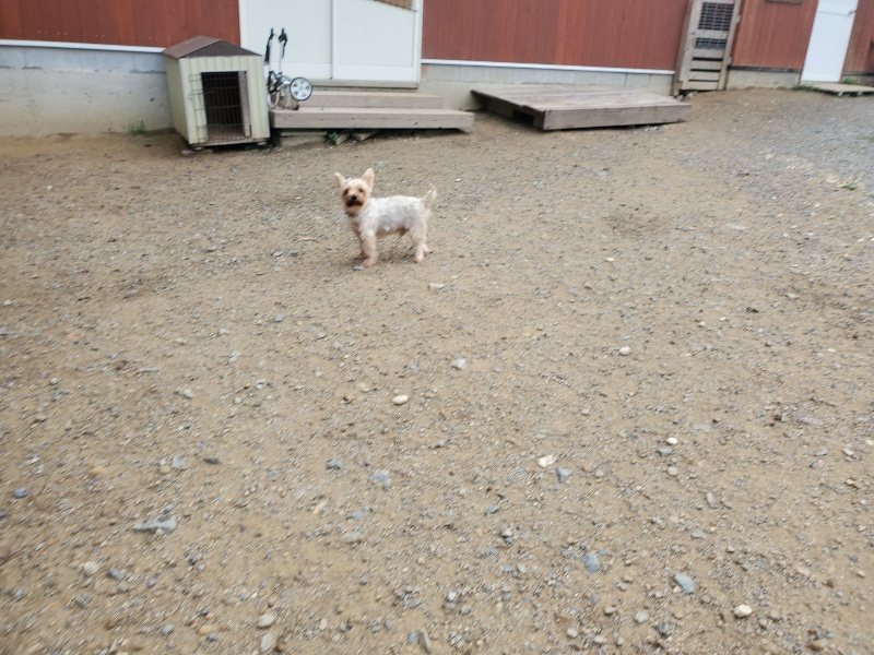 f:id:roukenhome-ann:20191011184918j:plain