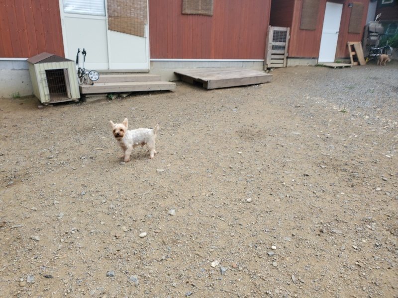 f:id:roukenhome-ann:20191011184942j:plain