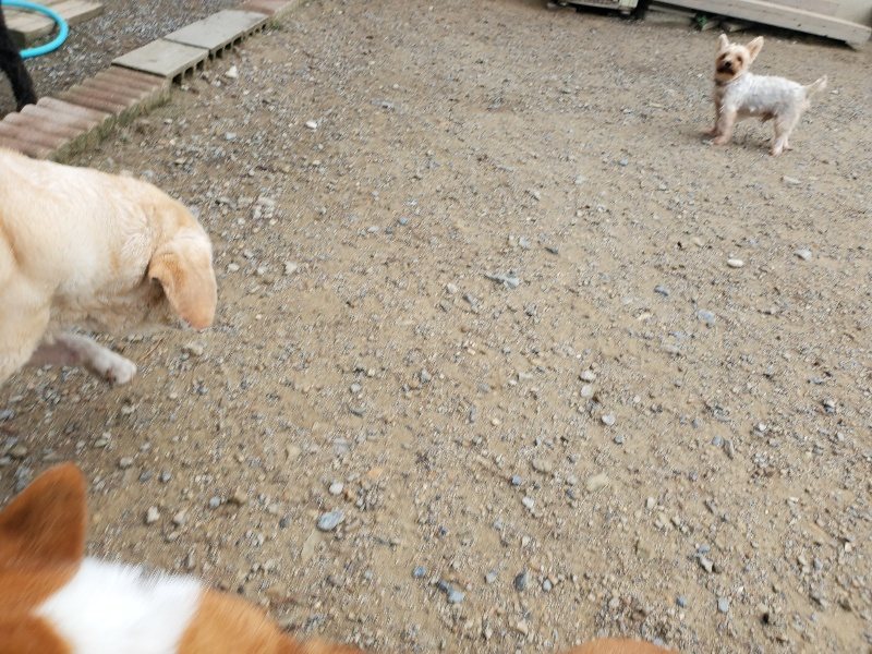 f:id:roukenhome-ann:20191011184950j:plain