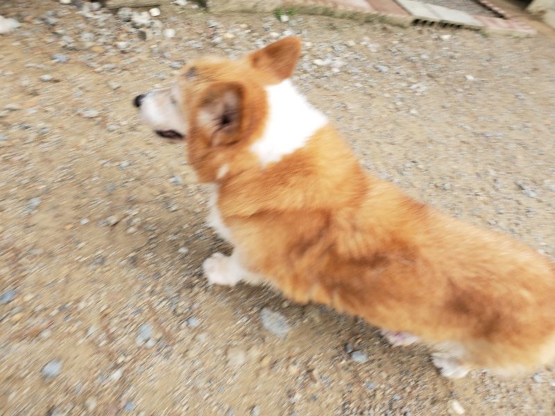 f:id:roukenhome-ann:20191011185009j:plain
