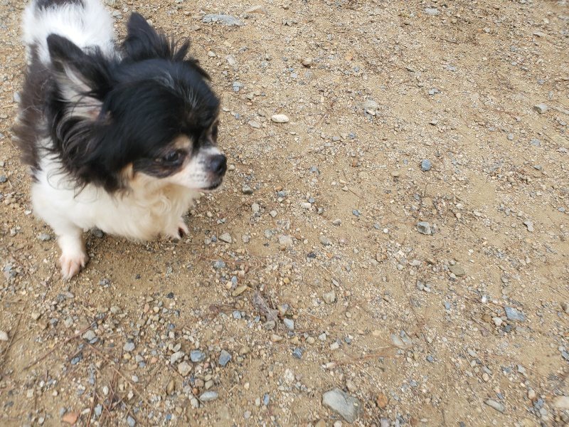 f:id:roukenhome-ann:20191011185020j:plain