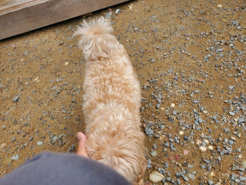 f:id:roukenhome-ann:20191011185134j:plain
