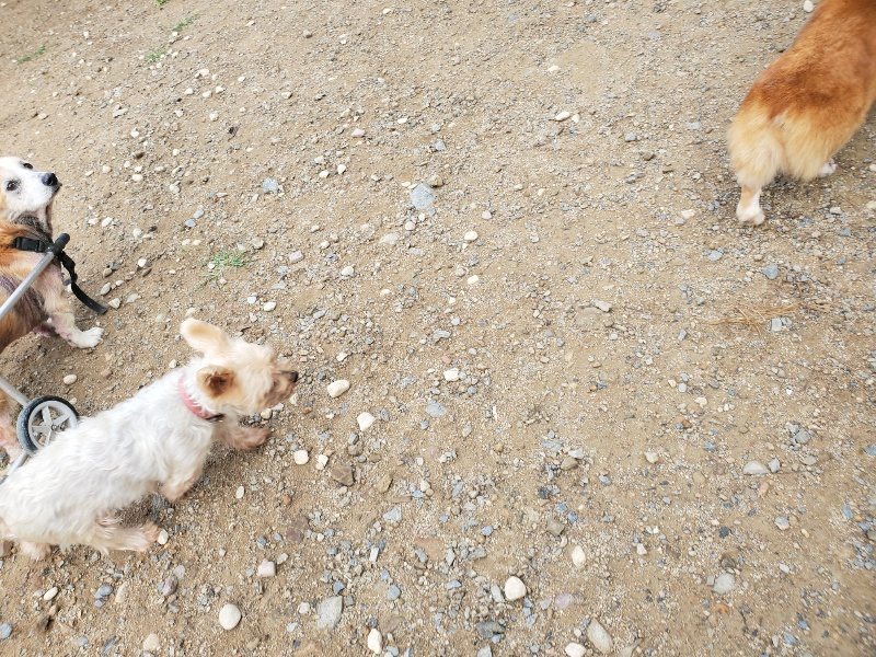 f:id:roukenhome-ann:20191011185234j:plain