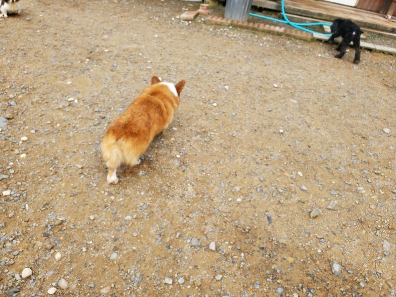 f:id:roukenhome-ann:20191011185307j:plain