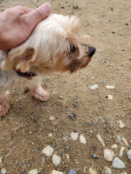 f:id:roukenhome-ann:20191011185324j:plain