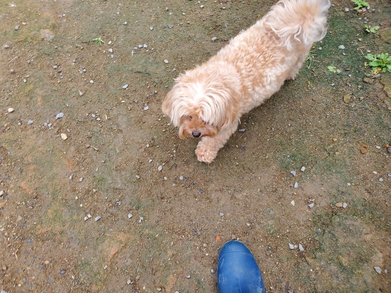 f:id:roukenhome-ann:20191011185419j:plain
