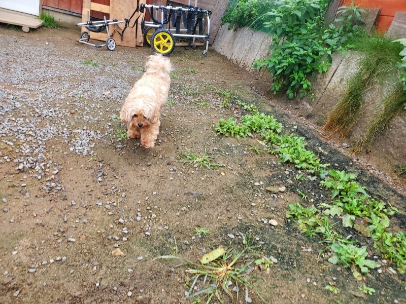 f:id:roukenhome-ann:20191011185522j:plain