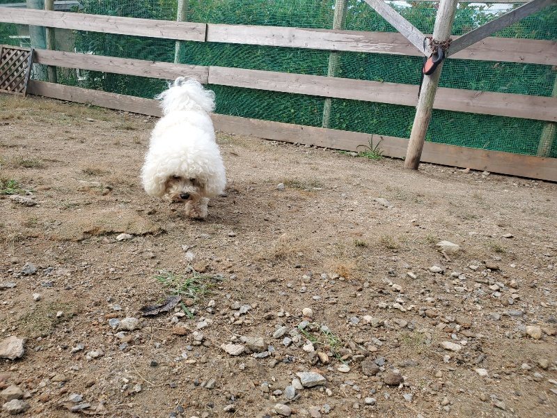 f:id:roukenhome-ann:20191011185643j:plain