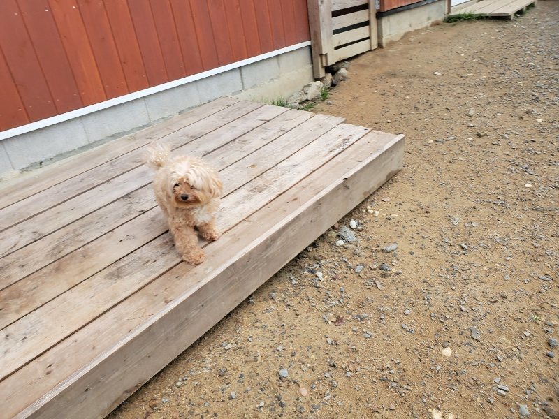 f:id:roukenhome-ann:20191011185748j:plain