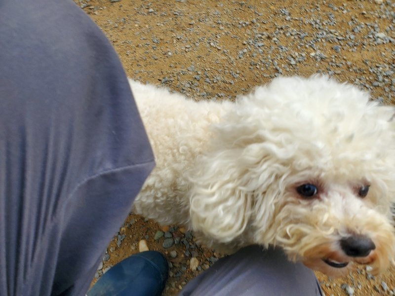 f:id:roukenhome-ann:20191011185928j:plain