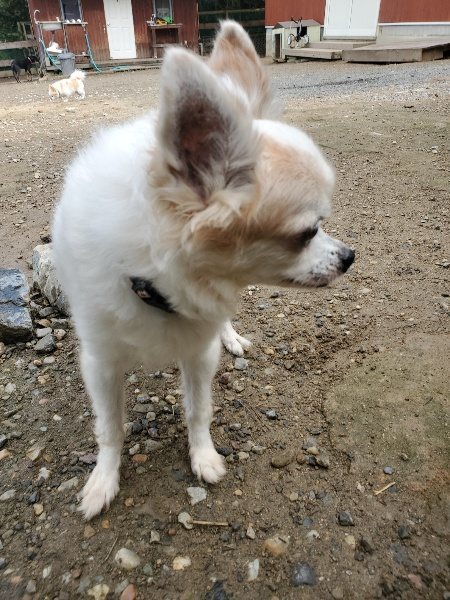 f:id:roukenhome-ann:20191011191615j:plain