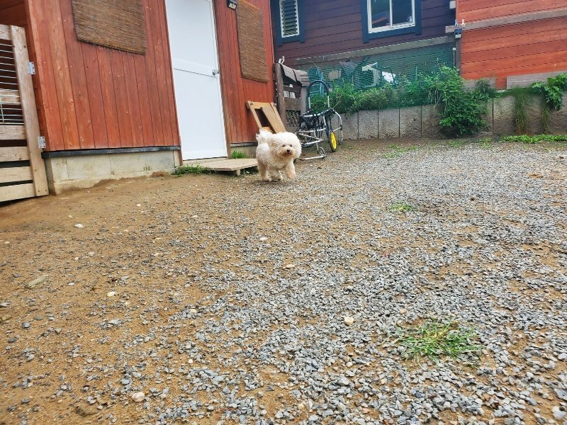 f:id:roukenhome-ann:20191011191646j:plain