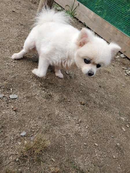 f:id:roukenhome-ann:20191011191824j:plain