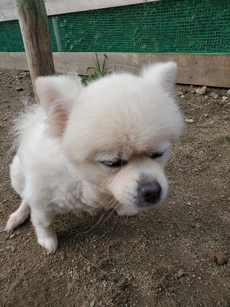 f:id:roukenhome-ann:20191011191835j:plain
