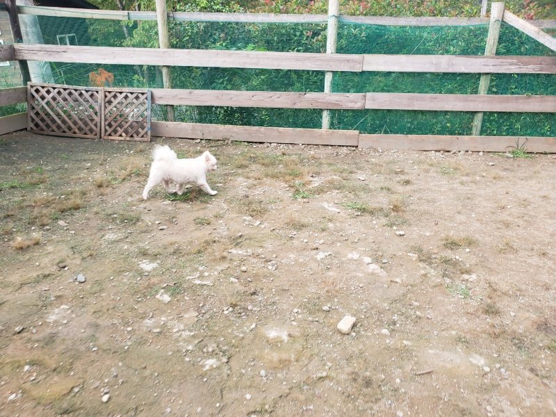 f:id:roukenhome-ann:20191011191854j:plain