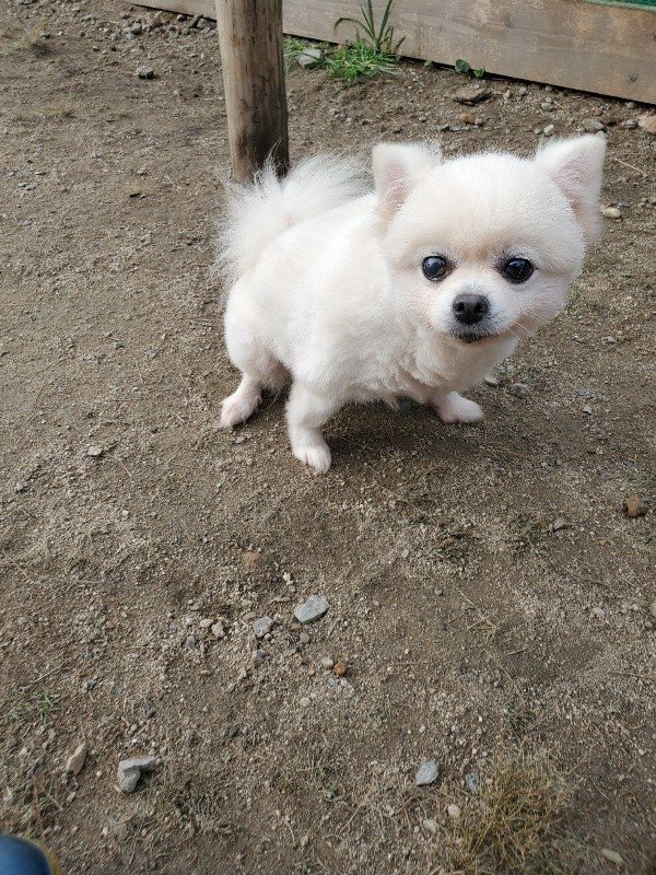 f:id:roukenhome-ann:20191011191901j:plain