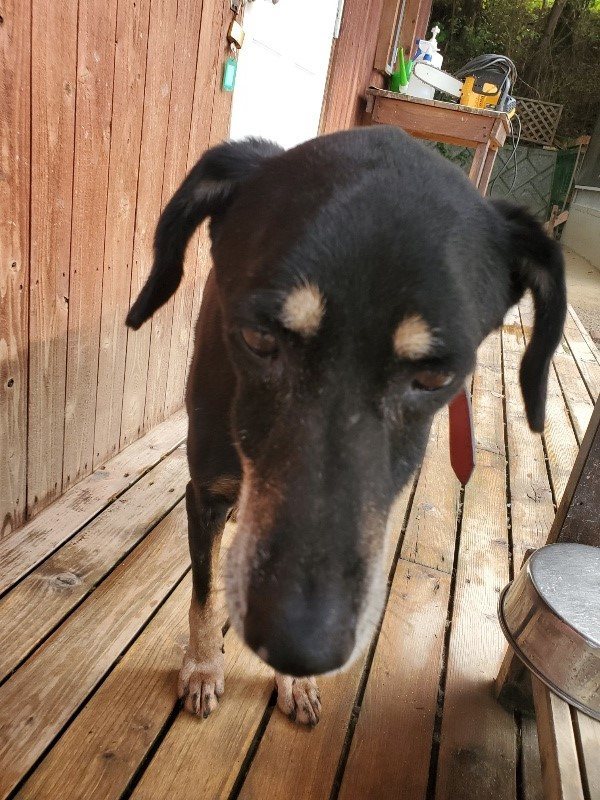 f:id:roukenhome-ann:20191011191952j:plain