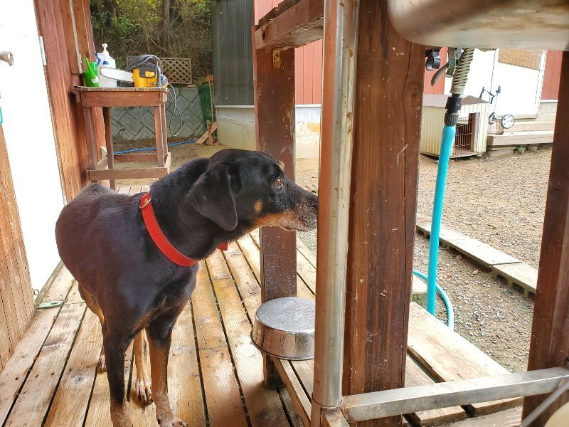f:id:roukenhome-ann:20191011192025j:plain