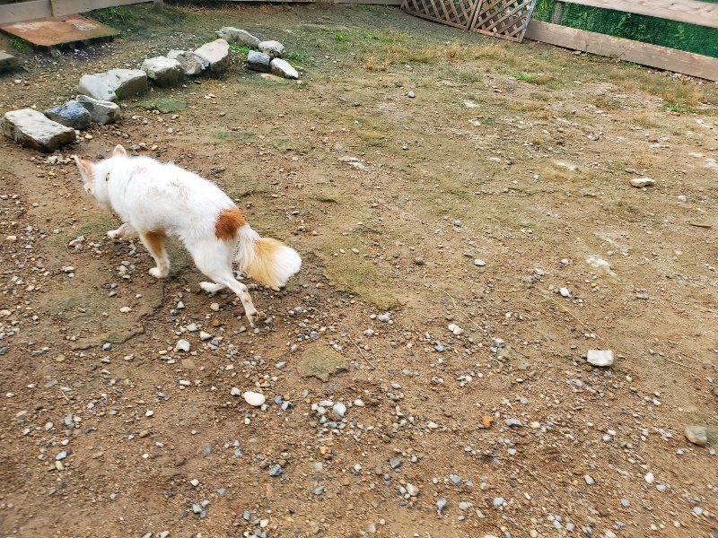 f:id:roukenhome-ann:20191011204431j:plain