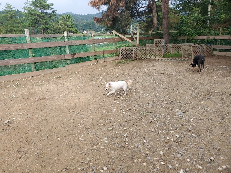 f:id:roukenhome-ann:20191011204514j:plain