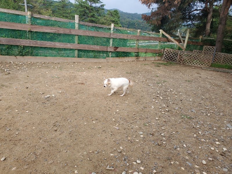 f:id:roukenhome-ann:20191011204522j:plain