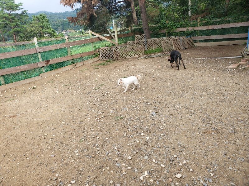 f:id:roukenhome-ann:20191011204541j:plain
