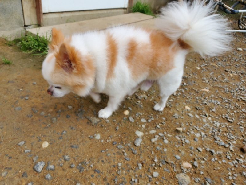 f:id:roukenhome-ann:20191011204552j:plain