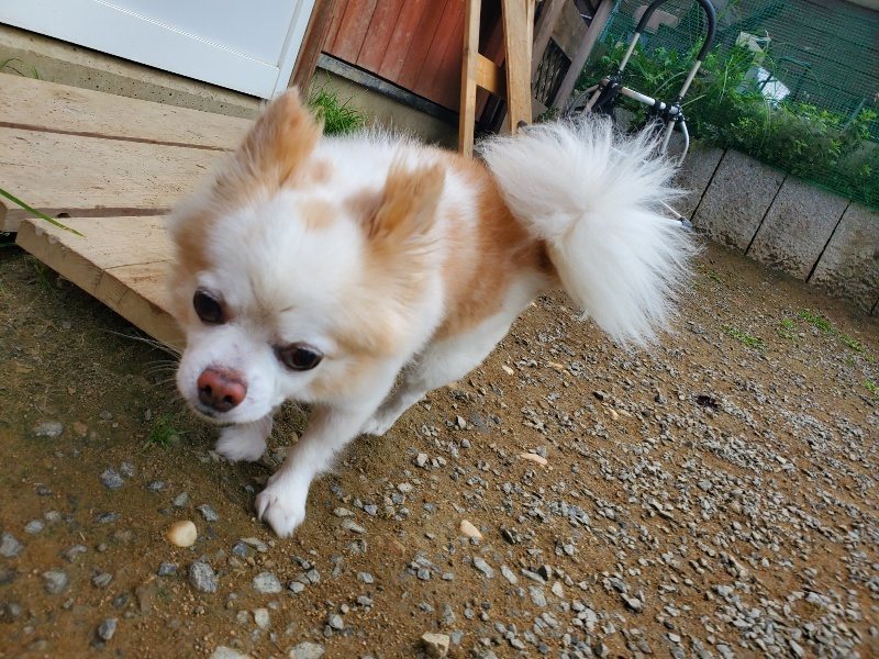 f:id:roukenhome-ann:20191011204615j:plain