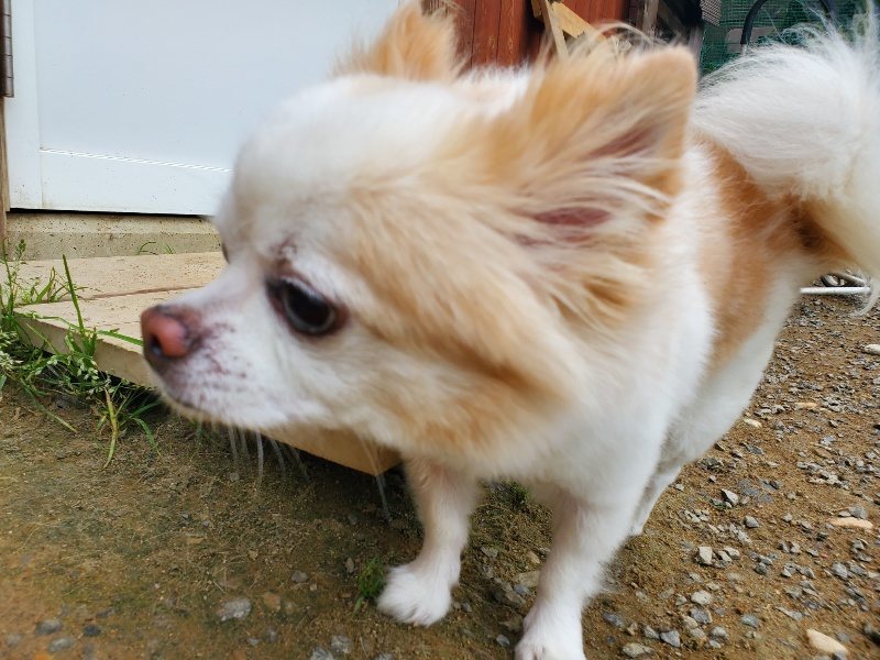 f:id:roukenhome-ann:20191011204626j:plain