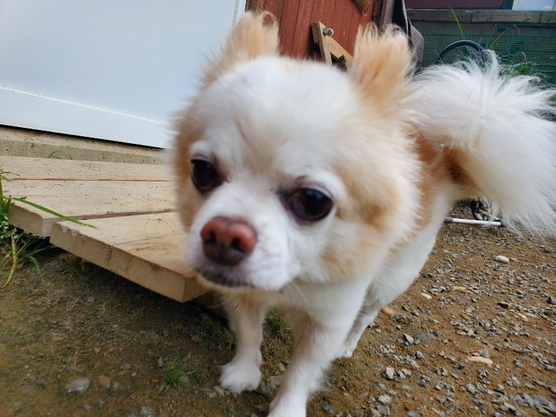 f:id:roukenhome-ann:20191011204635j:plain