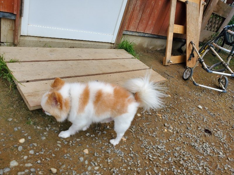 f:id:roukenhome-ann:20191011204642j:plain