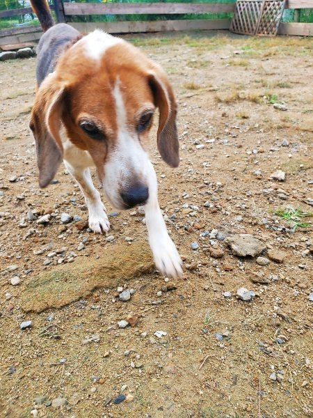f:id:roukenhome-ann:20191011204725j:plain