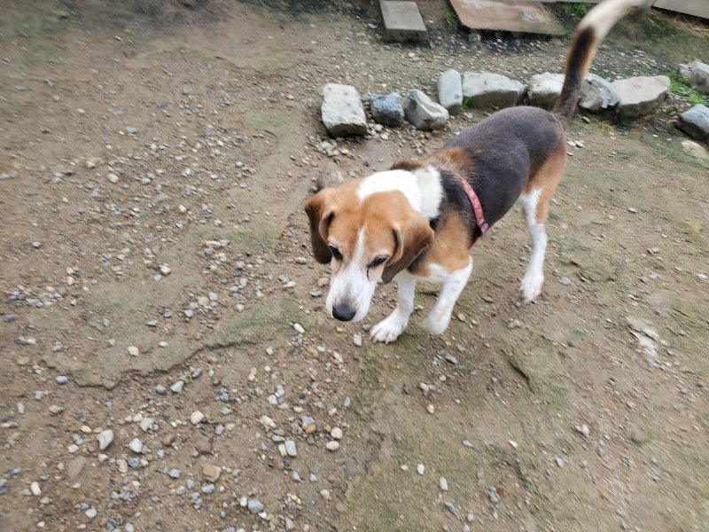 f:id:roukenhome-ann:20191011204829j:plain
