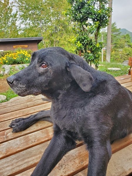 f:id:roukenhome-ann:20191011204946j:plain