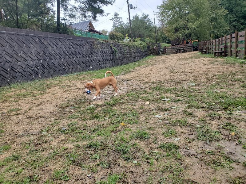 f:id:roukenhome-ann:20191013115227j:plain