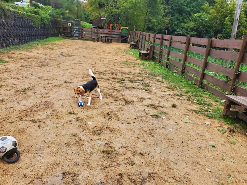 f:id:roukenhome-ann:20191013115436j:plain