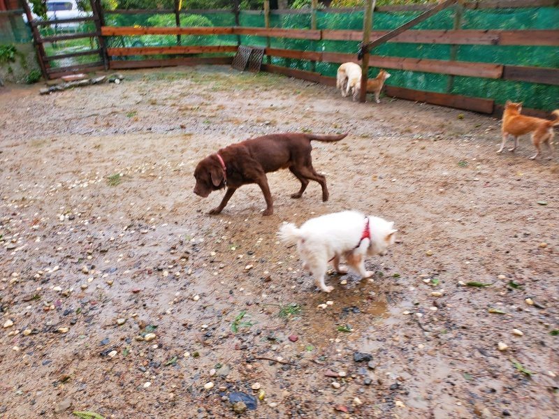 f:id:roukenhome-ann:20191013171648j:plain