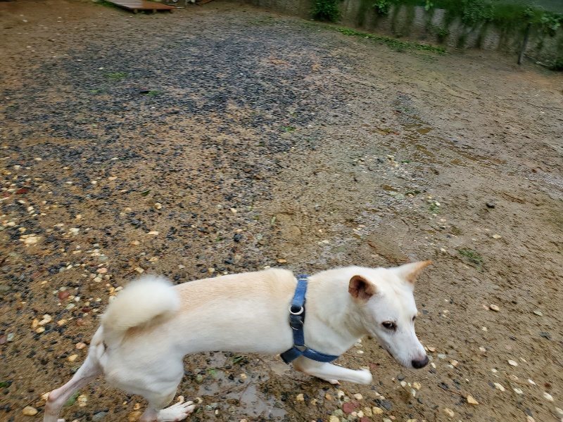 f:id:roukenhome-ann:20191013171827j:plain